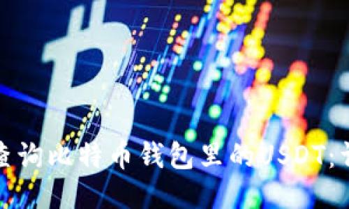 : 如何查询比特币钱包里的USDT：详细指南
