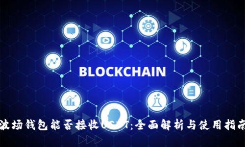波场钱包能否接收USDT：全面解析与使用指南