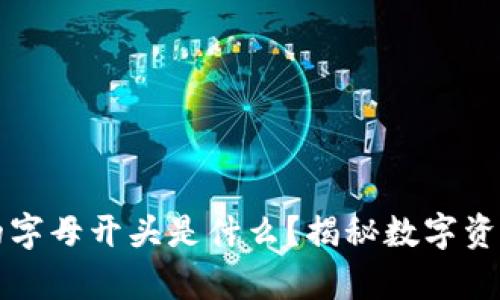 以太坊钱包的字母开头是什么？揭秘数字资产管理的奥秘