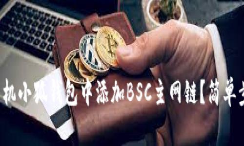 如何在手机小狐钱包中添加BSC主网链？简单步骤详解！