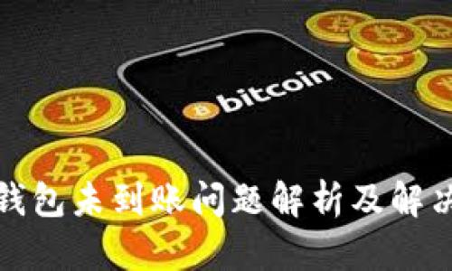 小狐钱包未到账问题解析及解决方案