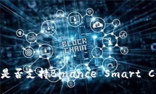 以太坊钱包是否支持Binance Smart Chain（BSC）？