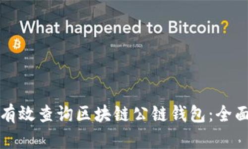 如何有效查询区块链公链钱包：全面指南