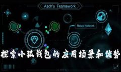 探索小狐钱包的应用场景