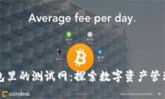 小狐钱包里的测试网：探