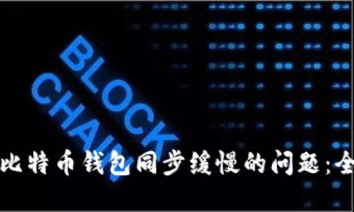 如何解决比特币钱包同步缓慢的问题：全方位指南