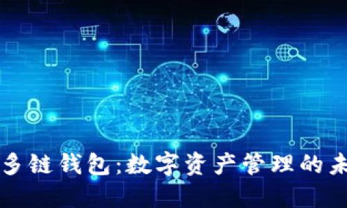 区块链多链钱包：数字资产管理的未来选择