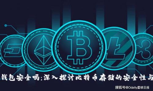 存比特币钱包安全吗：深入探讨比特币存储的安全性与最佳实践