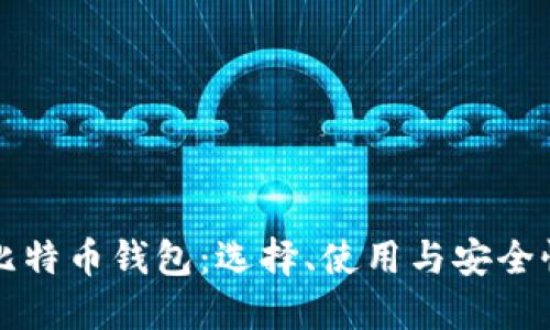 深入了解比特币钱包：选择、使用与安全性全面指南