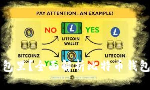 比特币放什么钱包里？全面解析比特币钱包类型及选择指南