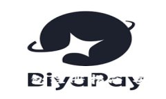 全球最大的比特币钱包注