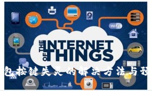 小狐钱包按键失灵的解决方法与预防指南