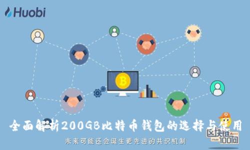全面解析200GB比特币钱包的选择与使用