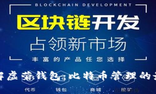 深入了解虚荣钱包：比特币管理的最佳选择