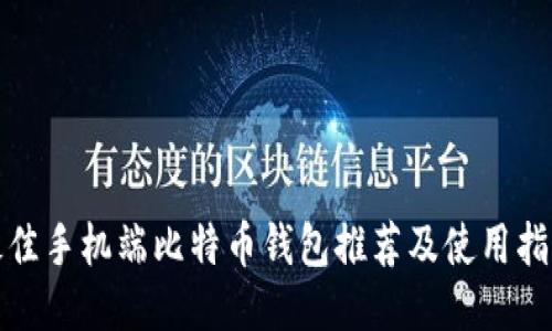 最佳手机端比特币钱包推荐及使用指南