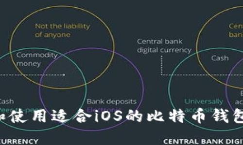 如何选择和使用适合iOS的比特币钱包：全面指南