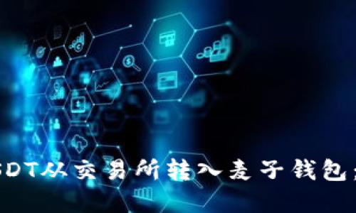 如何将USDT从交易所转入麦子钱包：完整指南